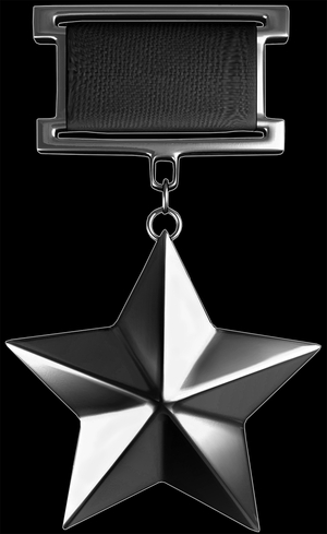 Медаль Золотая Звезда - картинки для гравировки